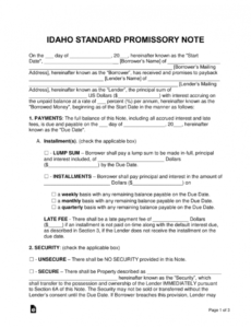 editable free illinois promissory note templates  pdf  word  word standard promissory note template excel