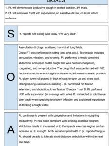 editable physical therapist soap notes example  soap note notes physical therapy soap note template sample