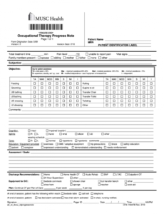 editable soap notes occupational therapy pdf  fill out and sign printable pdf  template  signnow occupational therapy progress note template example