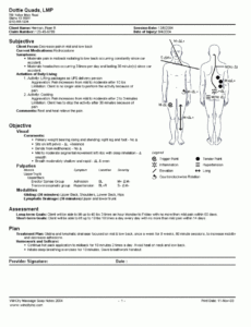 editable wellness massage versus therapeutic massage relaxing massage therapy soap note template pdf