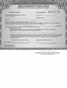 issuing our own american national private bonds negotiable international promissory note template word