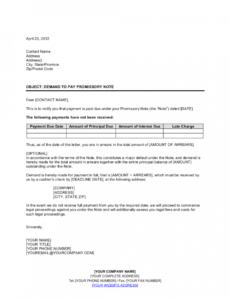 printable demand to pay promissory note template  by businessinabox™ demand note template excel