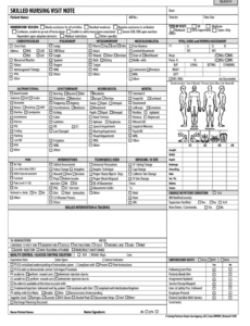 printable skilled nursing visit note form  fill out and sign printable pdf template   signnow home health nursing note template doc