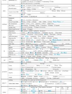 sample assessment flow sheet example  home health nurse nursing home health nursing note template doc
