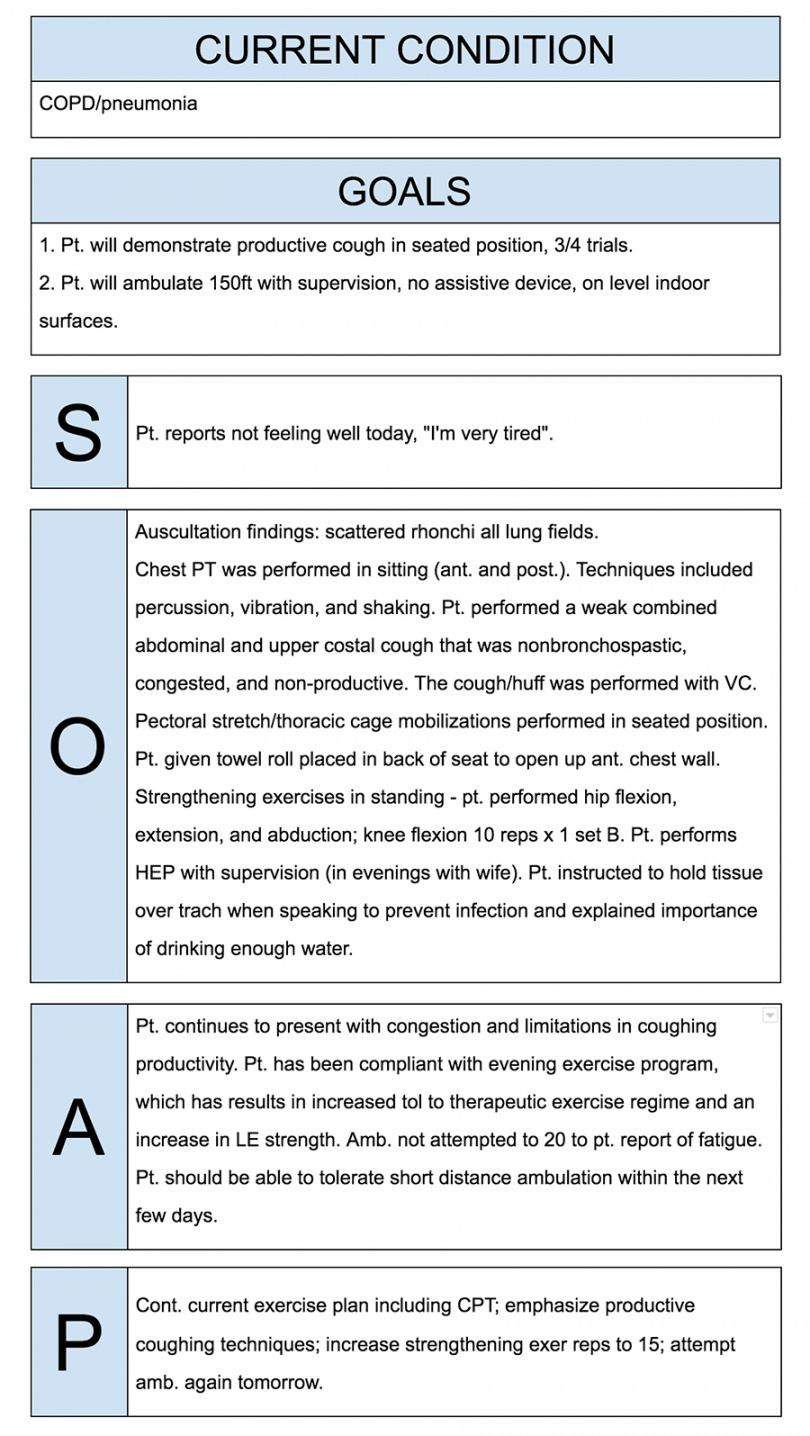 Sample How To Write Incredible Physical Therapist Soap Notes Mental