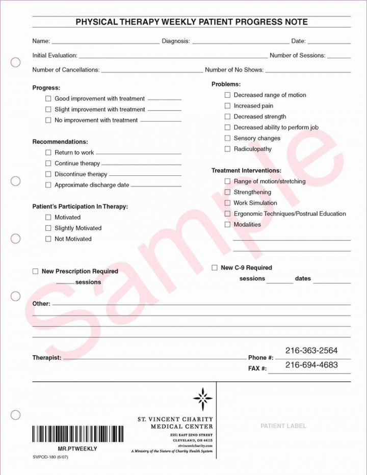 editable physical therapy daily notes templates unique svpod 180 social work progress note template sample