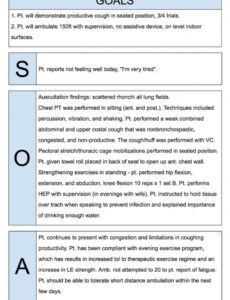 free physical therapist soap notes example  soap note speech therapy note template example