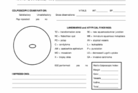 sample worksheet for colposcopy for providers  fill online colposcopy procedure note template word