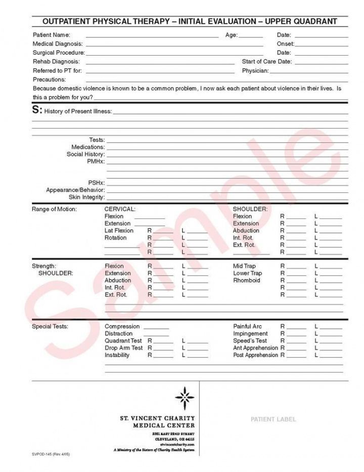 editable physical therapy evaluation form with from physical occupational therapy daily note template doc