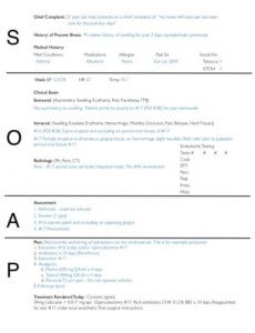printable 圖片so a p notes examples  精彩圖片搜  soap note soap notes soap note template massage pdf