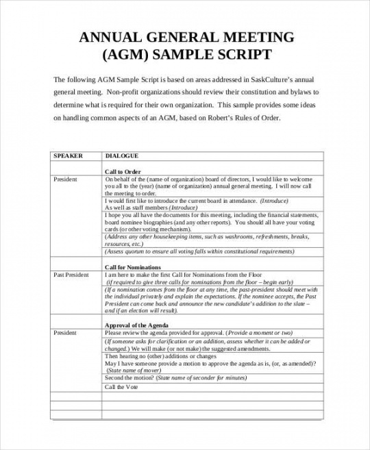 Printable Free 6 Nonprofit Agenda Examples Sample In Pdf Examples Non