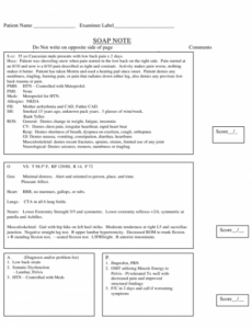 printable sample soap note download printable pdf  templateroller soap note template massage pdf