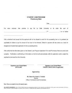 sample download promissory note template 21  notes template promissory note template illinois word