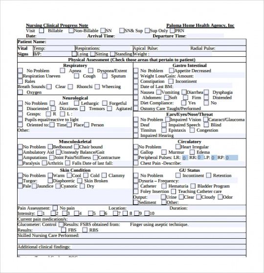 sample free 8 nursing note templates in pdf daily progress note template example