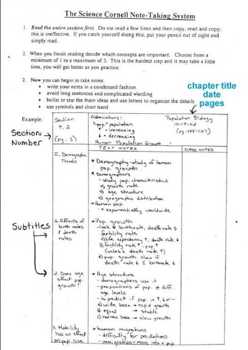 free cornell notes example  biology  teaching biology lesson high school note taking template word