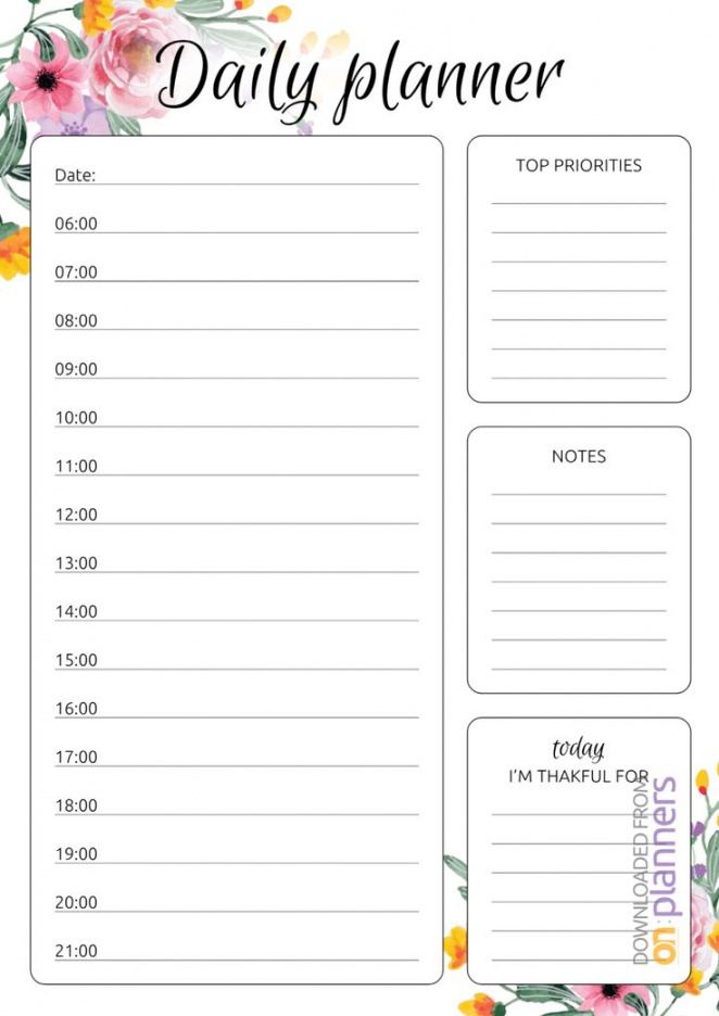 editable download printable daily hourly planner   daily goodnotes daily agenda template doc