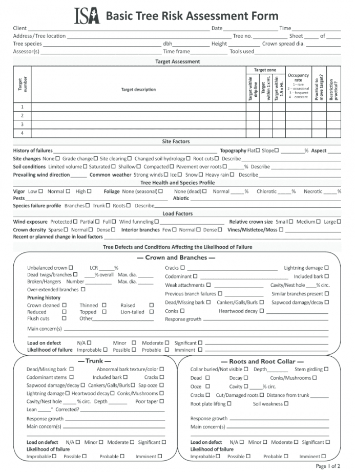 Sample Assessment Tree Fill Online Printable Fillable Blank Pdffiller