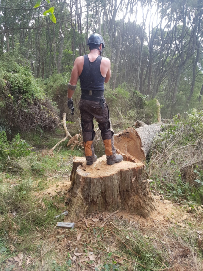 sample rob's tree service  tree  stump removal services  6 dempsey ct  morwell tree service tree removal estimate template pdf