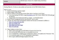 Project Manager Meeting Agenda Template Doc Sample