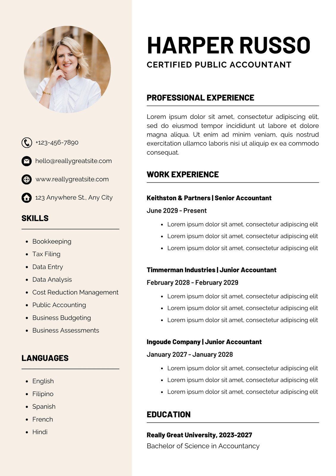 cv-template-for-accountant-job