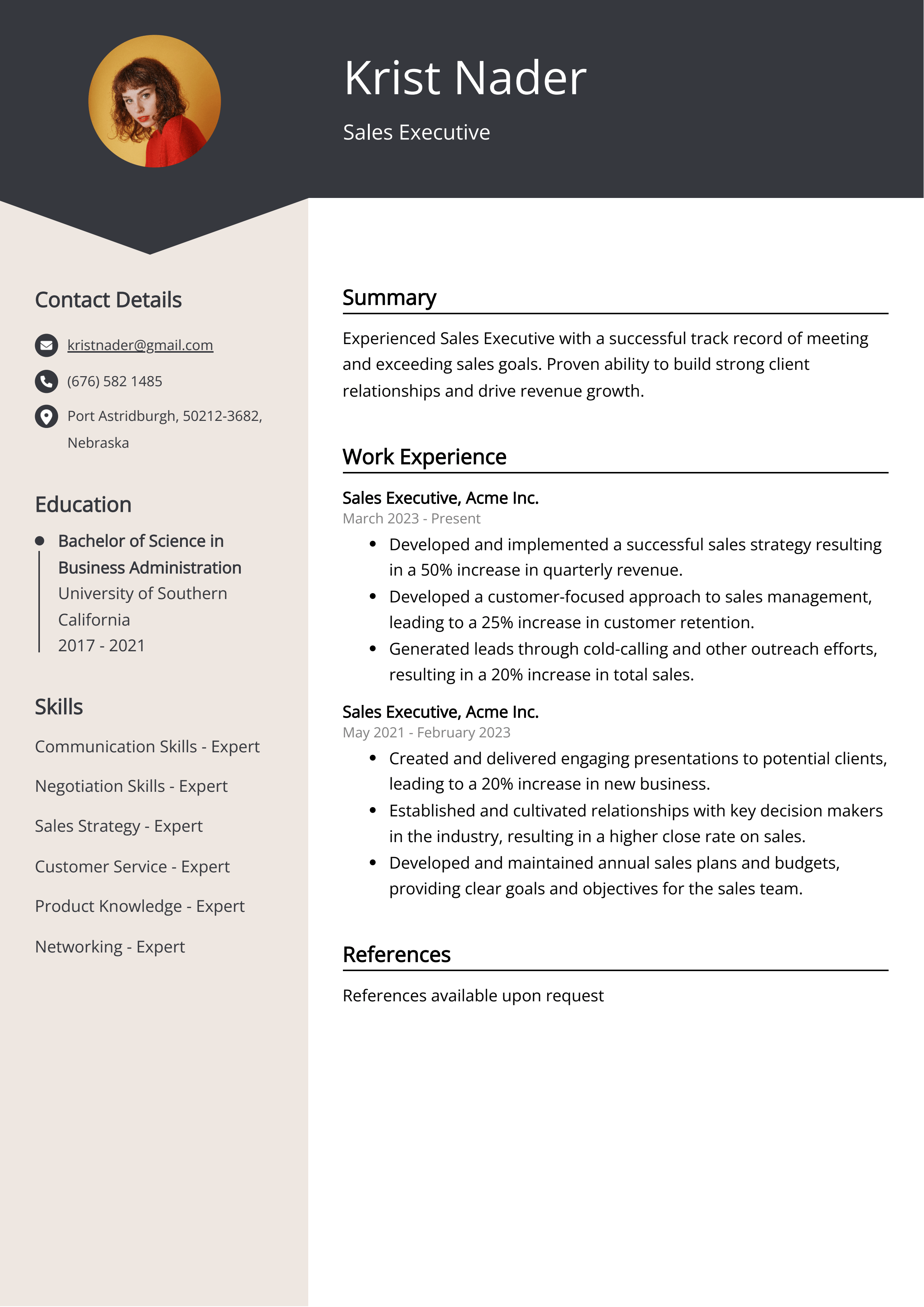 cv-template-for-sales-executive