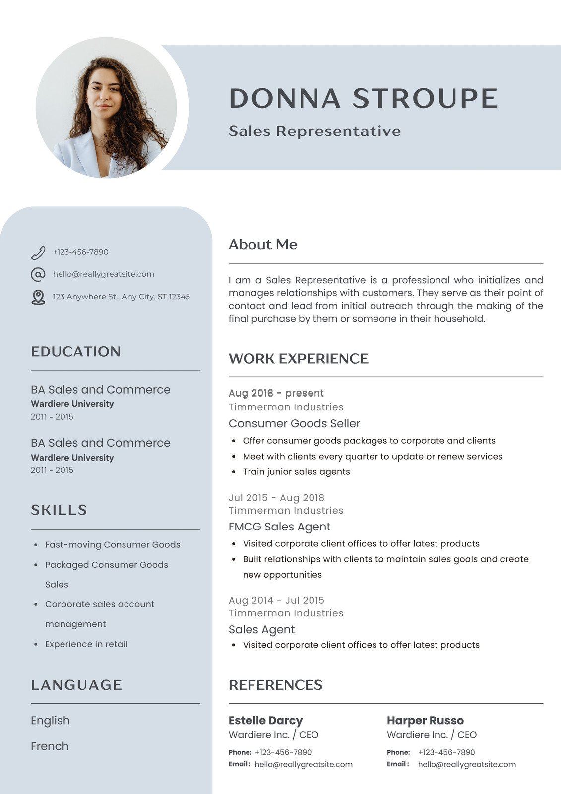 cv-template-for-sales-job